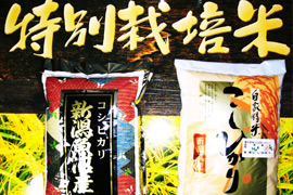 店舗写真2